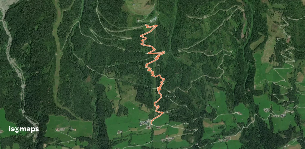 Rutschenweg Wildkogelarena