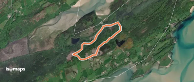Ards Forest - Green Route