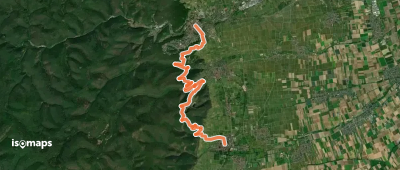 Pfälzer Weinsteig - Etappe 3