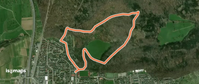Holzweg