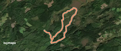 Mossestigen