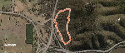 Black Mountain Woodland Walk