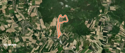 Hochbergweg