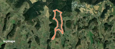 Laufstrecke (gelb)