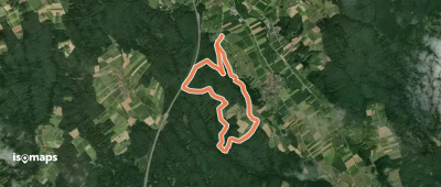 Ausdauer Waldlauf