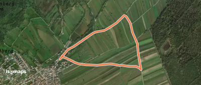 St. Georgen Walking & Laufrunde (2)