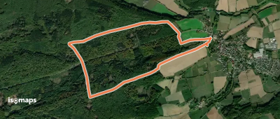 Rundwanderweg A3 Rischenau - Schwalenberger Wald
