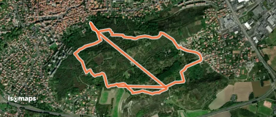 Le chemin des orchys