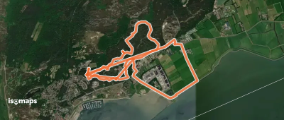 Tiger en Van Hunenplak