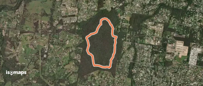 Grey Box Circuit