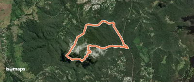 Roses circuit