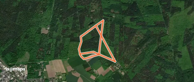 Die Haard Waldpromenade barrierearme Runde