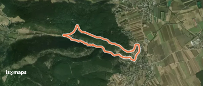 Zur Schubertlinde Runde bei Würflach