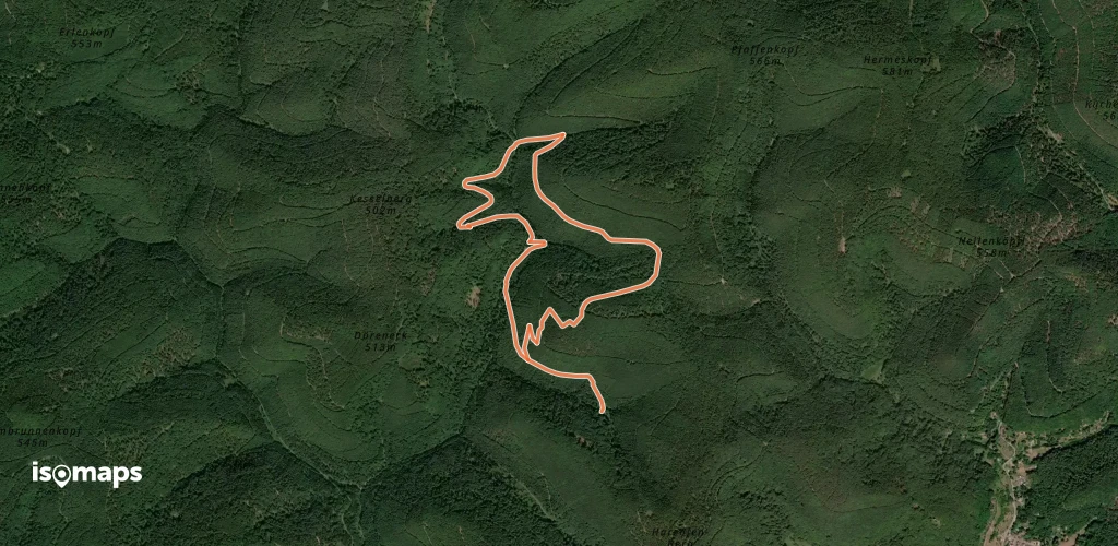 Rundwanderweg Böchinger Hütte 2