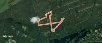 NSG Brachter Wald Wanderweg Grün