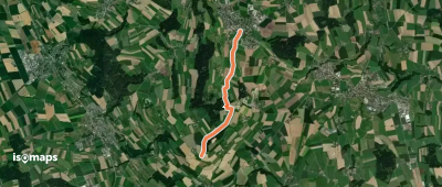 Rickenbach - Buholz