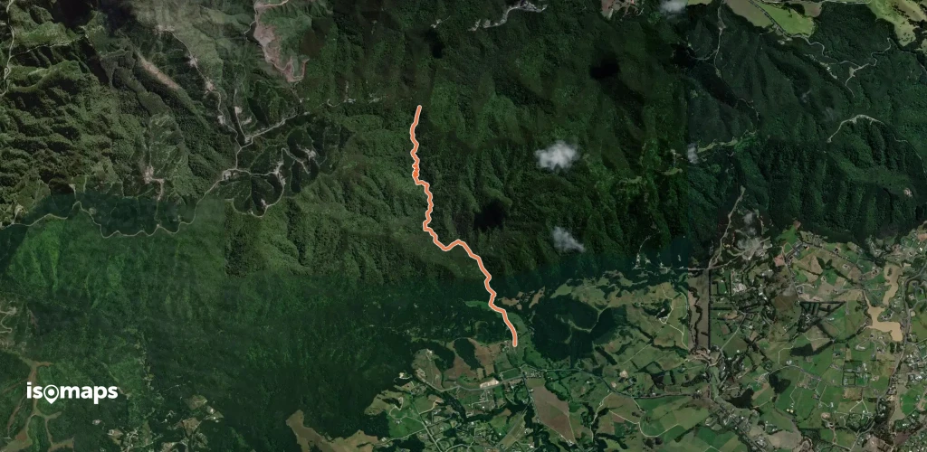 Tanekaha Falls Track