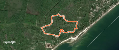 Tate's Hell High Bluff Coastal Hiking Trail East Loop