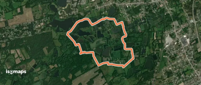 Wijvenheide Oranje bol