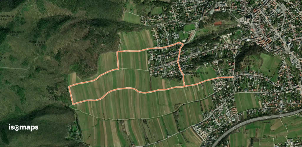 Smaragdeidechsenrunde