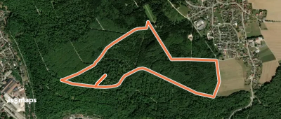 Waldlehrpfad