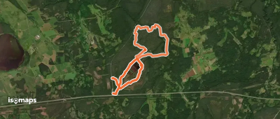 Viru raba (long)