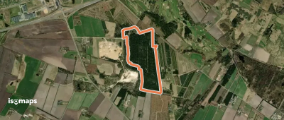 Gul Rute, Skelhøj Plantage2
