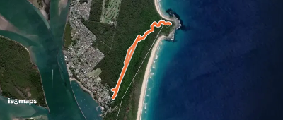 Iluka Rainforest walking track