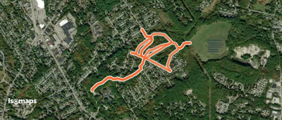 Virginia Woods