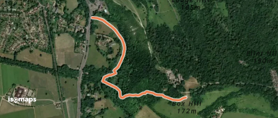 Stepping Stones Path