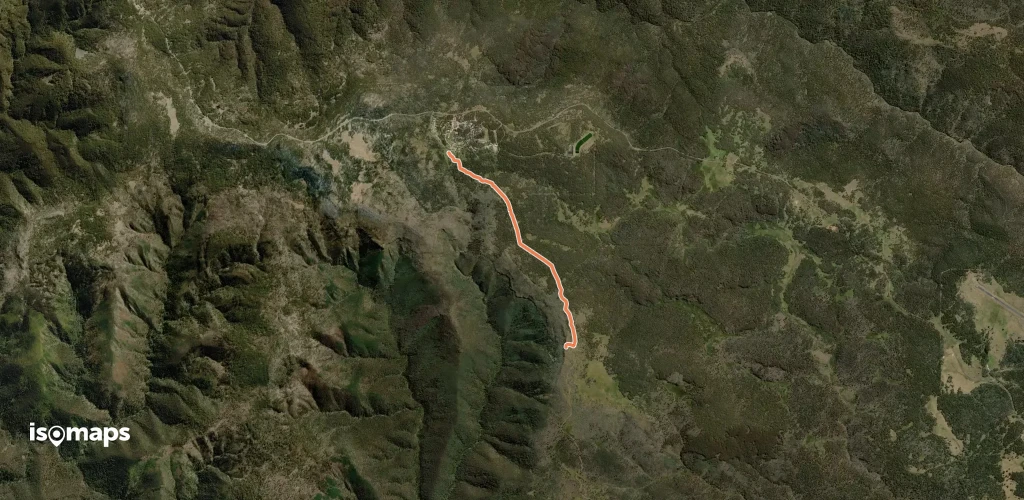 Precipice Plain Walk