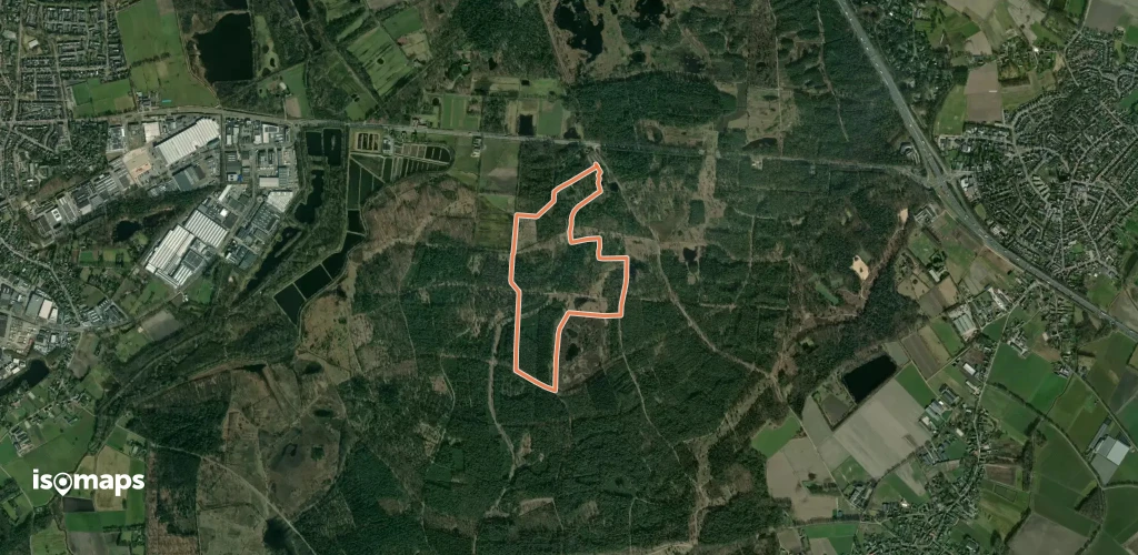 Bos- en heidepad