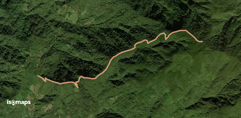 鳶嘴山西稜線川棟林道