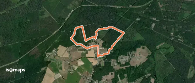 Saint-Benoît-la-Forêt : De l'arbre au bois
