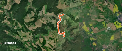 Vom Martinfeld zum Warteberg?