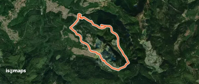 Le Sickertkopf