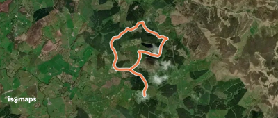 CROCKNAGRALLY FOREST