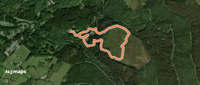 Gortin Forest Nature Trail