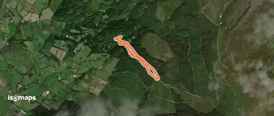 Gortin Forest Pollan Trail