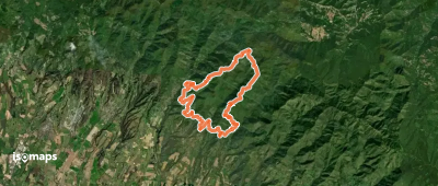 Sorgenti di Firenze Trekking – Anello 17: Dai castagni ai faggi del Mugello