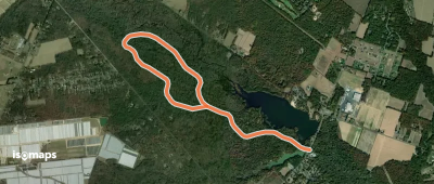 Forest Road (Blue) Trail