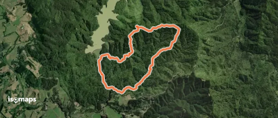 Wairoa Loop Track