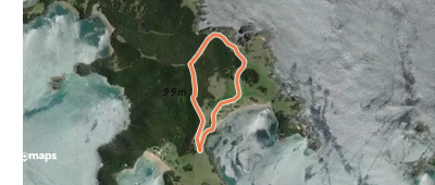 Urupukapuka Bay Loop