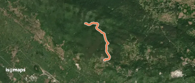 OSM Route 2745245
