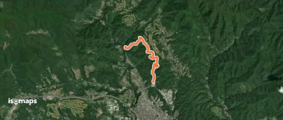 八重山コース