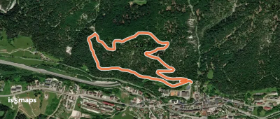 Lynx Trail