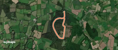Castlemorris Fern Loop