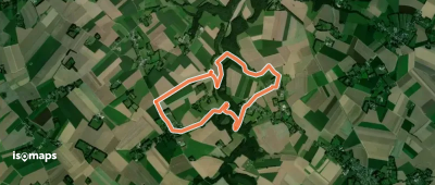 Le vert buisson