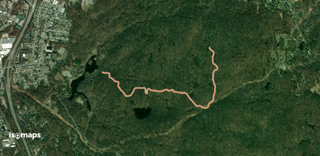 Blue Mountain Summit Trail