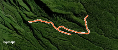 Waingongoro Track